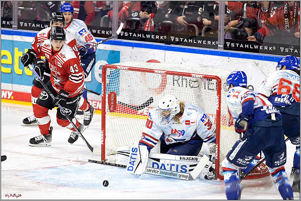 PENNY DEL;  Kölner Haie - Adler Mannheim; Köln, 04.11.2022